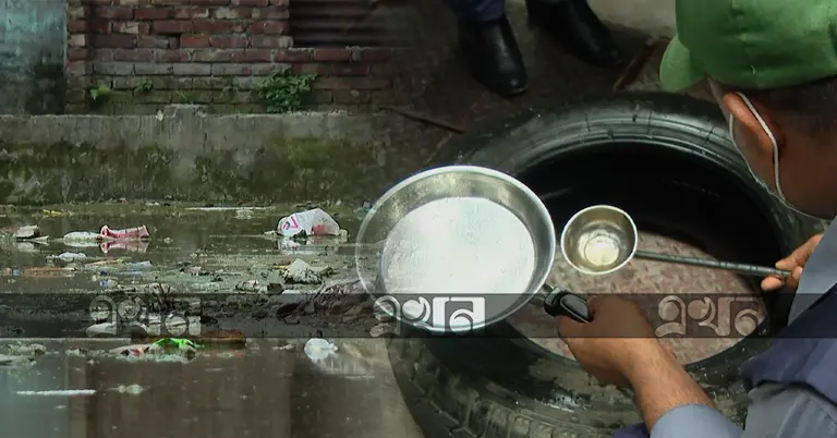 ডেঙ্গুর প্রকোপ